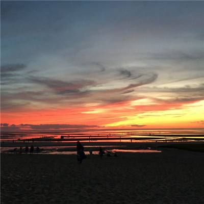 万博max体育官网手机版