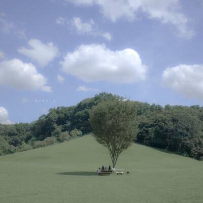 双赢彩票官方网站app下载