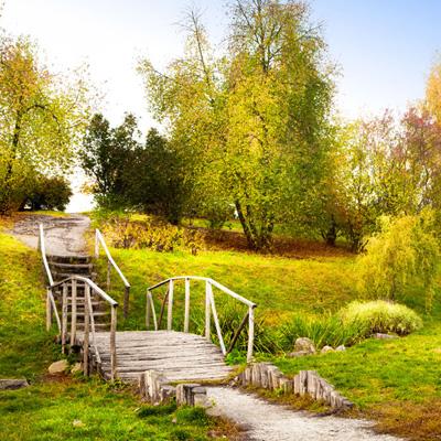 凤凰彩票56677官网入口查询